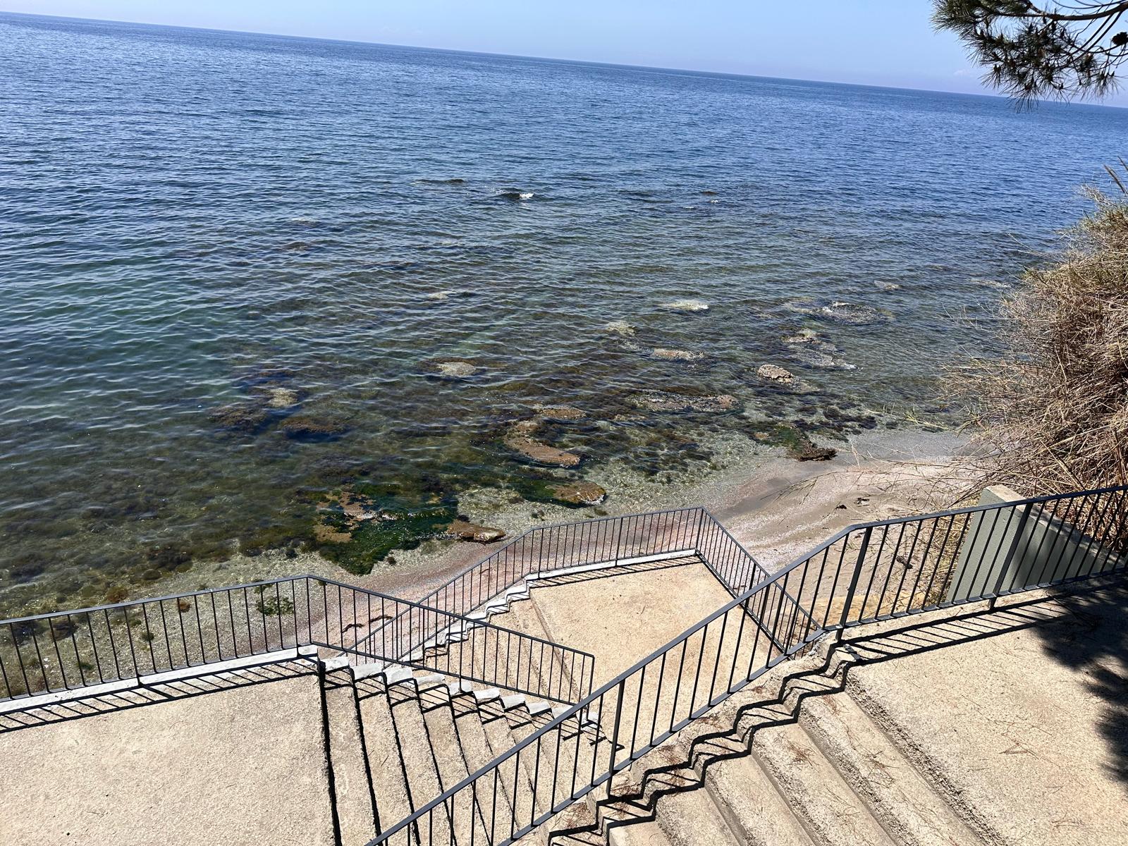 7b7ed344-a1f5-4e37-829b-e8d8f15ac77e