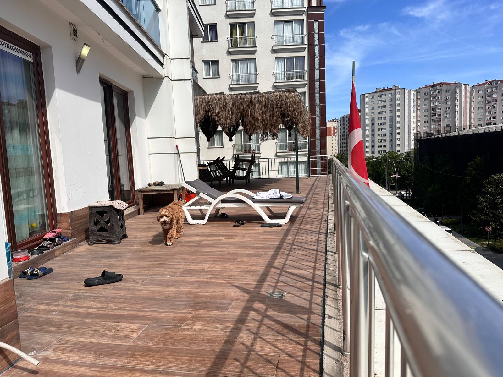 87dbfc41-06d8-4ba9-bdee-9fb23deab27e