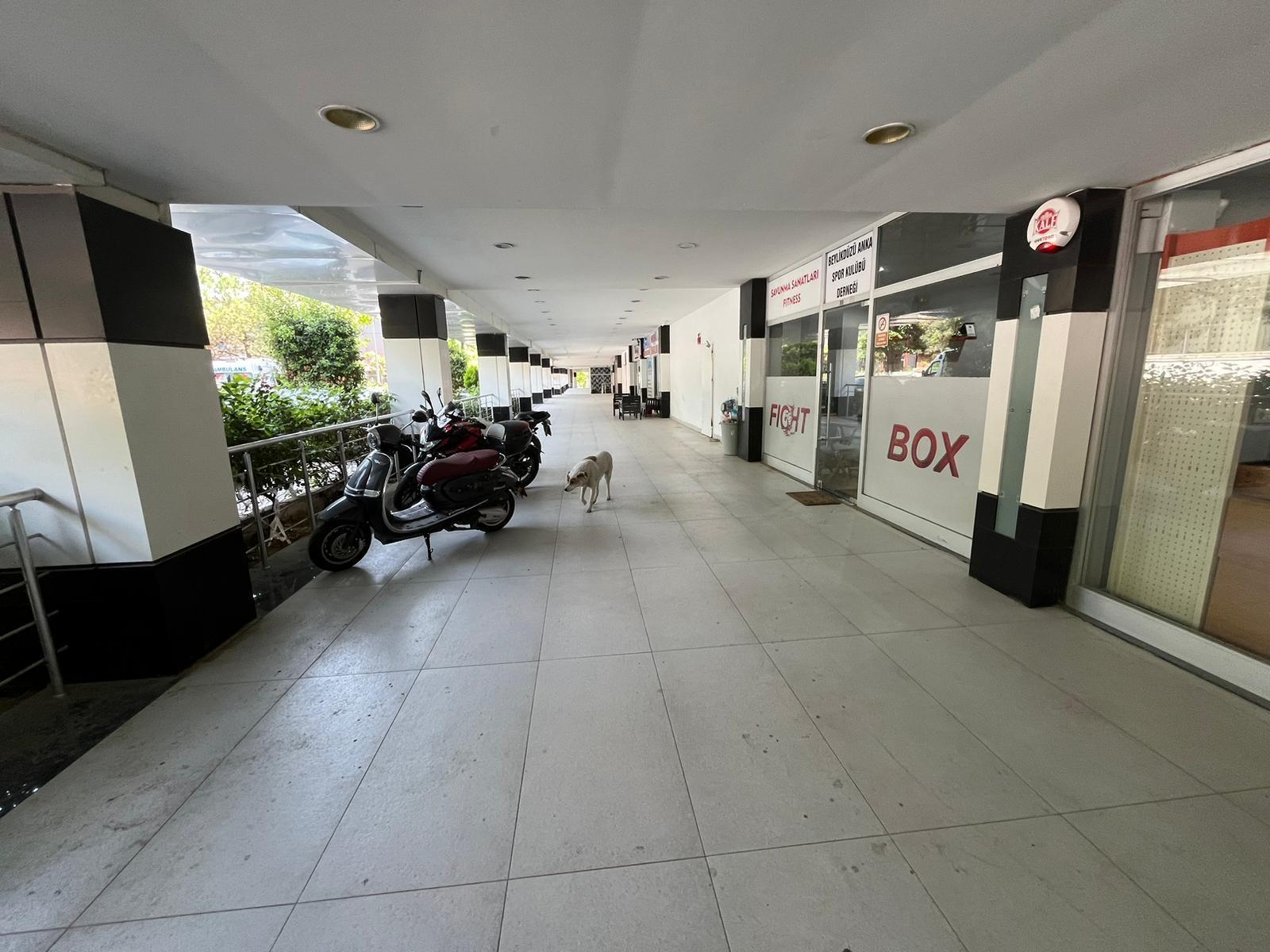 9ee14ef1-e6b5-41e9-bae8-129930ab2780